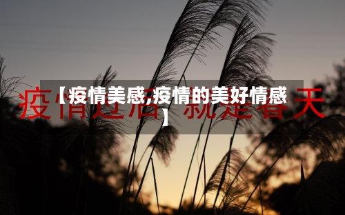 【疫情美感,疫情的美好情感】-第2张图片