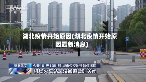 湖北疫情开始原因(湖北疫情开始原因最新消息)
