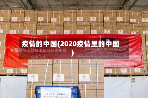 疫情的中国(2020疫情里的中国)