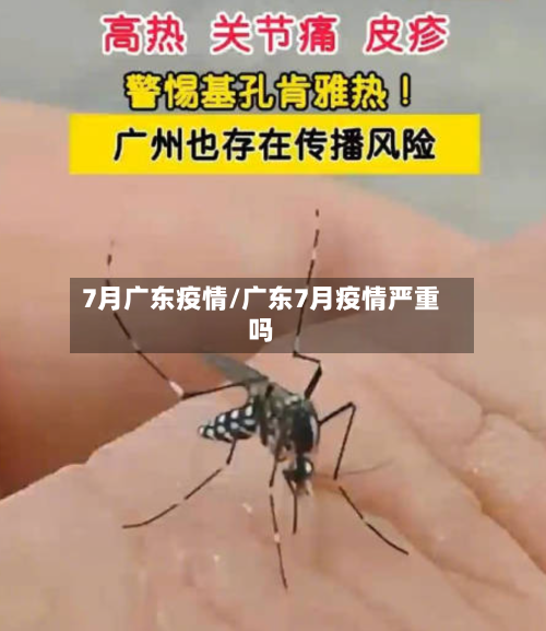 7月广东疫情/广东7月疫情严重吗