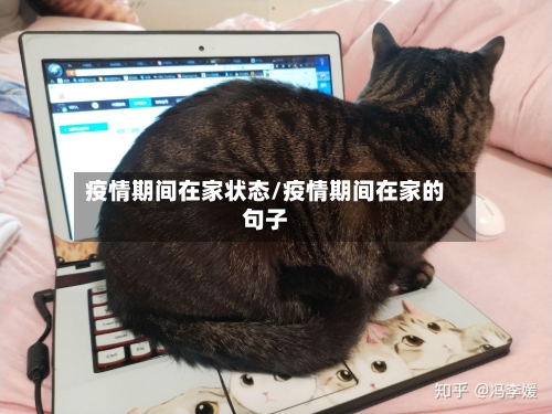 疫情期间在家状态/疫情期间在家的句子-第2张图片
