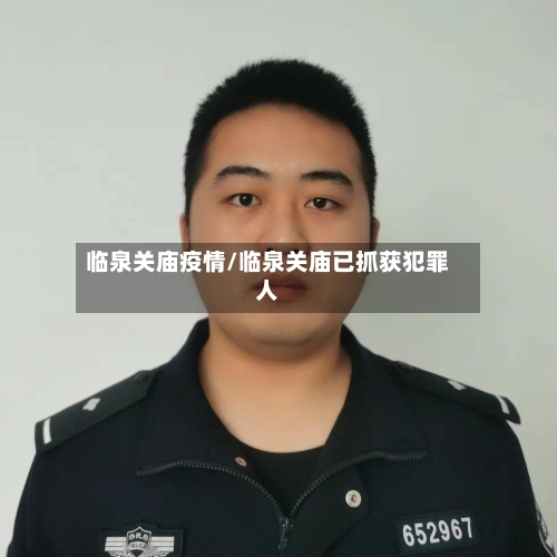 临泉关庙疫情/临泉关庙已抓获犯罪人-第2张图片