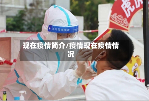 现在疫情简介/疫情现在疫情情况-第2张图片