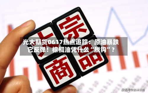 光大期货0617热点追踪：原油暴跌它反弹！棕榈油凭什么“脱钩	”？-第2张图片