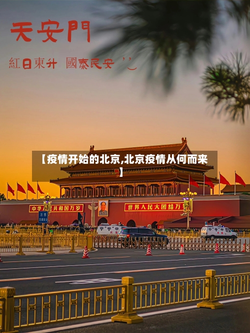 【疫情开始的北京,北京疫情从何而来】-第2张图片