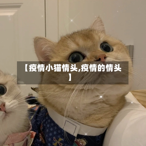 【疫情小猫情头,疫情的情头】-第2张图片