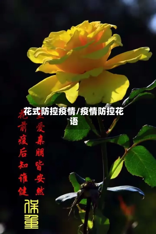 花式防控疫情/疫情防控花语-第2张图片