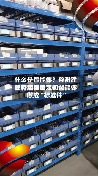 什么是智能体？谷澍建议将功能单〖One〗、业务流程固定的智能体做成“标准件”-第3张图片