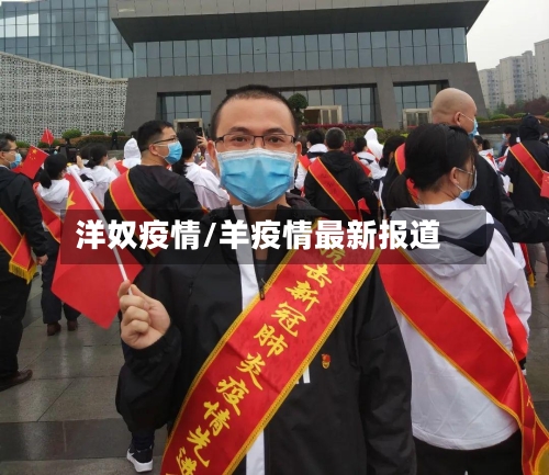 洋奴疫情/羊疫情最新报道