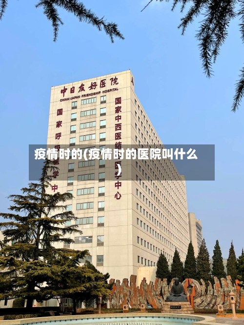 疫情时的(疫情时的医院叫什么)