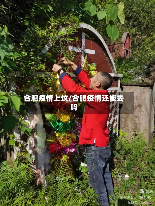 合肥疫情上坟/合肥疫情还能去吗-第2张图片