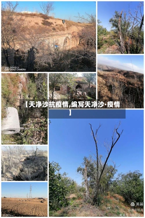 【天净沙抗疫情,编写天净沙·疫情】