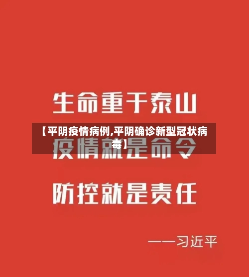 【平阴疫情病例,平阴确诊新型冠状病毒】