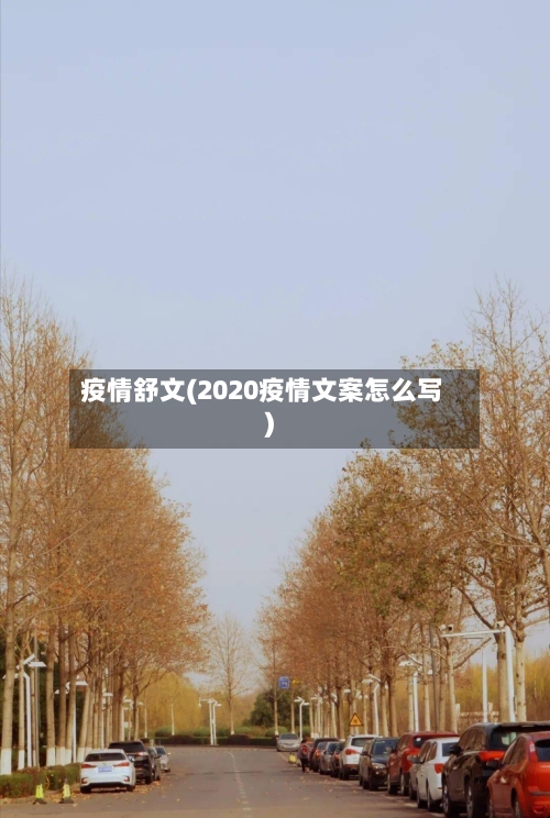 疫情舒文(2020疫情文案怎么写)-第2张图片
