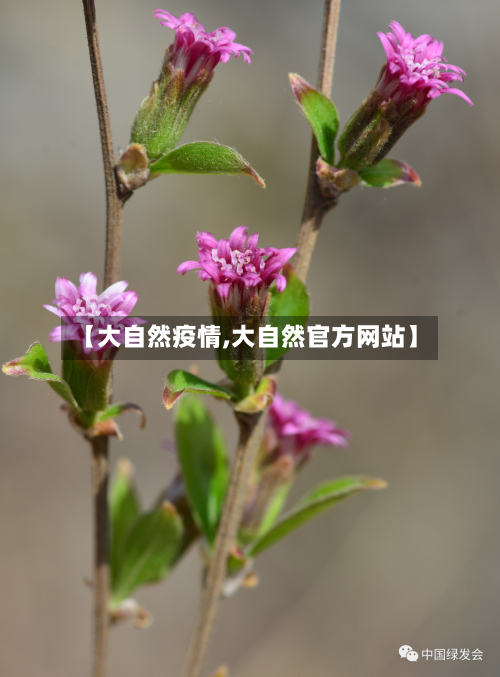 【大自然疫情,大自然官方网站】