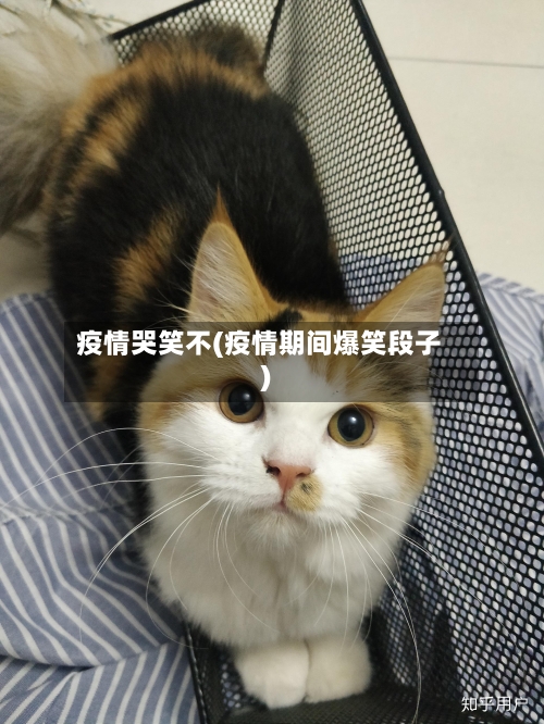 疫情哭笑不(疫情期间爆笑段子)