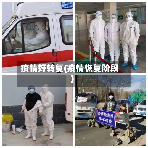 疫情好转复(疫情恢复阶段)-第2张图片