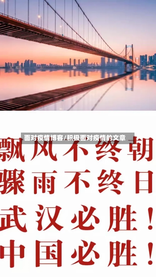 面对疫情博客/积极面对疫情的文章-第2张图片