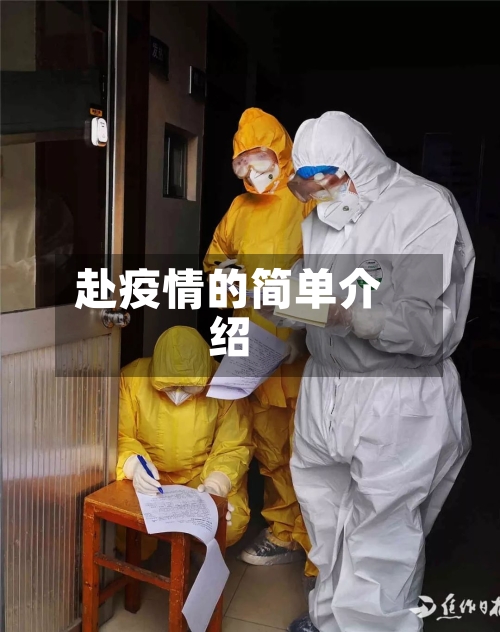 赴疫情的简单介绍