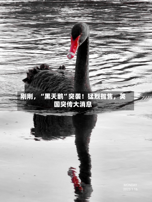 刚刚，“黑天鹅	”突袭！猛烈抛售，英国突传大消息-第2张图片