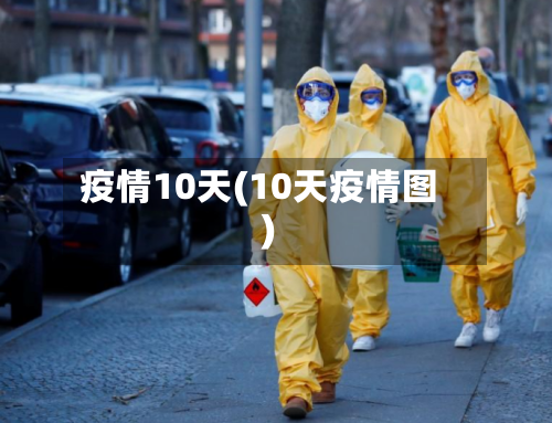 疫情10天(10天疫情图)-第2张图片