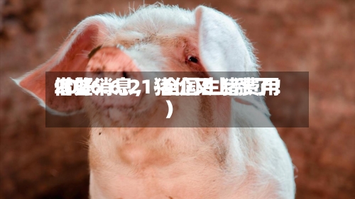 2026.6.21-全国生猪费用借鉴（好消息，猪价又上涨了！）-第2张图片
