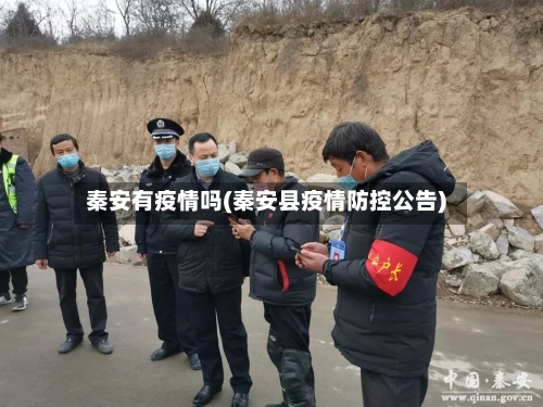 秦安有疫情吗(秦安县疫情防控公告)-第3张图片