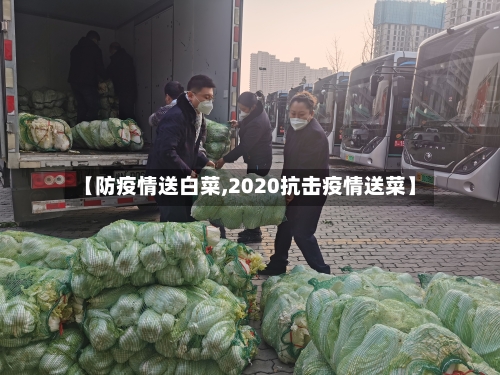 【防疫情送白菜,2020抗击疫情送菜】-第3张图片