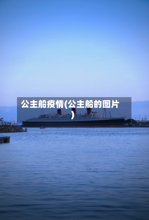 公主船疫情(公主船的图片)