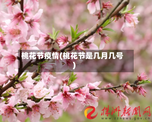 桃花节疫情(桃花节是几月几号)-第3张图片