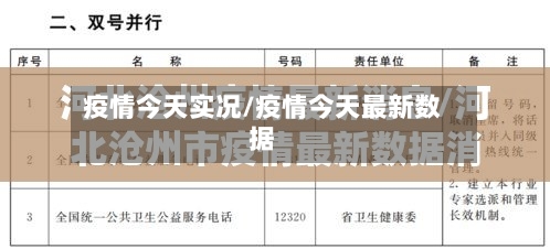 疫情今天实况/疫情今天最新数据-第3张图片