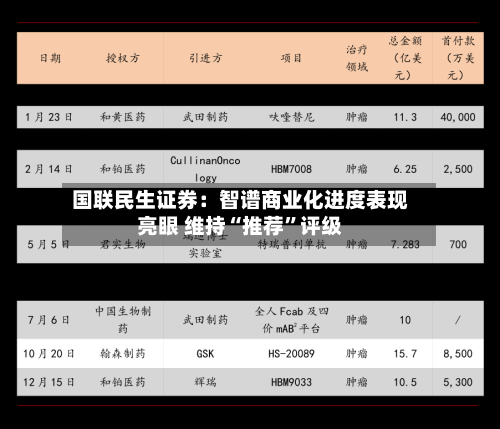 国联民生证券：智谱商业化进度表现亮眼 维持“推荐”评级