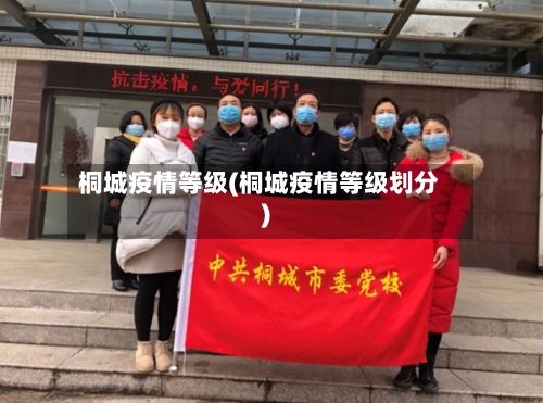 桐城疫情等级(桐城疫情等级划分)-第2张图片