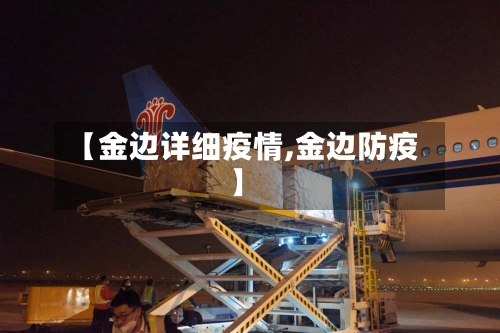 【金边详细疫情,金边防疫】-第2张图片