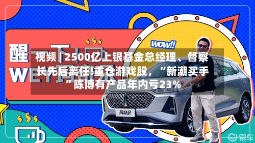 视频 | 2500亿上银基金总经理、督察长先后离任!重仓游戏股，“新潮买手”陈博有产品年内亏23%-第2张图片