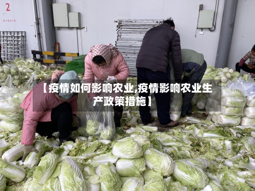 【疫情如何影响农业,疫情影响农业生产政策措施】-第3张图片