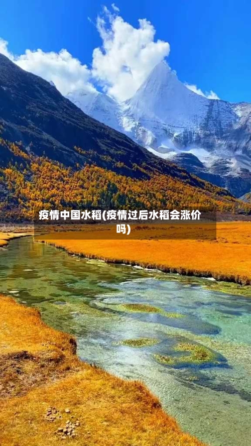 疫情中国水稻(疫情过后水稻会涨价吗)