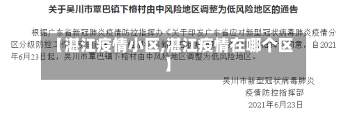 【湛江疫情小区,湛江疫情在哪个区】