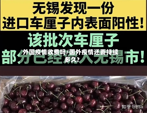 外国疫情收费吗/国外疫情还要持续多久?-第3张图片
