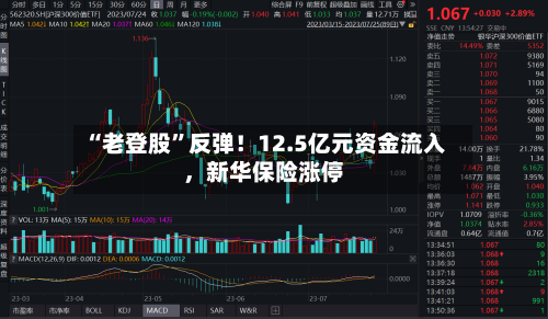 “老登股”反弹！12.5亿元资金流入	，新华保险涨停-第2张图片
