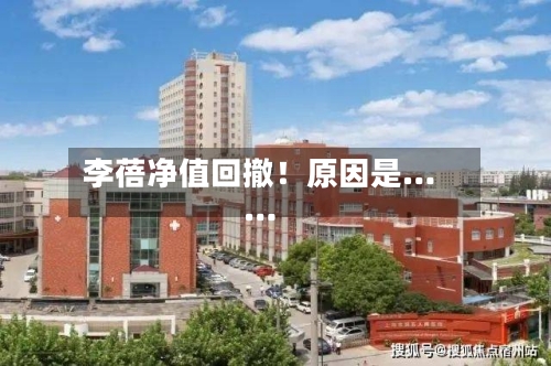 李蓓净值回撤！原因是……-第2张图片