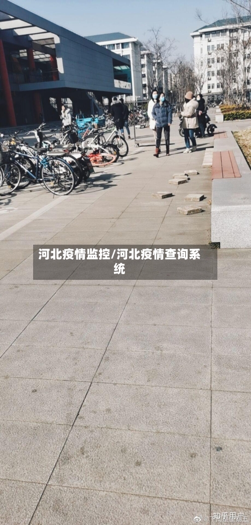 河北疫情监控/河北疫情查询系统-第3张图片
