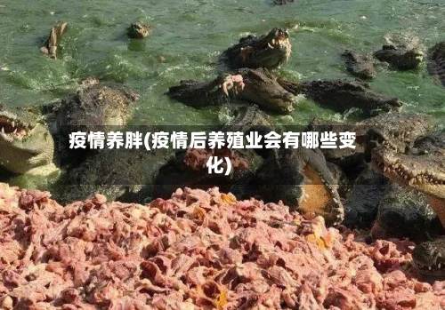 疫情养胖(疫情后养殖业会有哪些变化)