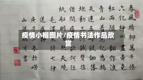 疫情小楷图片/疫情书法作品欣赏-第2张图片
