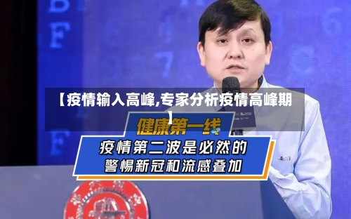 【疫情输入高峰,专家分析疫情高峰期】-第2张图片