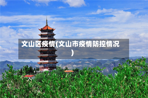 文山区疫情(文山市疫情防控情况)