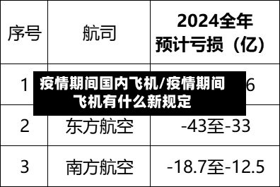 疫情期间国内飞机/疫情期间飞机有什么新规定-第3张图片