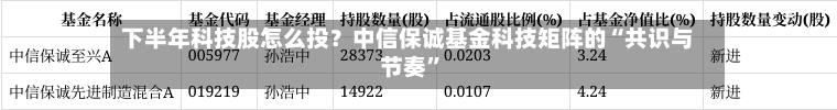 下半年科技股怎么投？中信保诚基金科技矩阵的“共识与节奏”-第3张图片