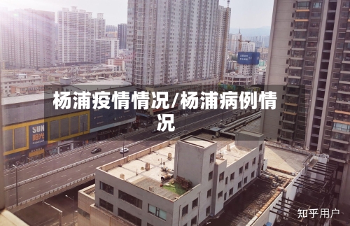 杨浦疫情情况/杨浦病例情况