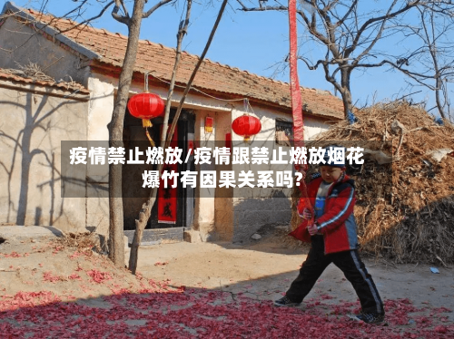 疫情禁止燃放/疫情跟禁止燃放烟花爆竹有因果关系吗?